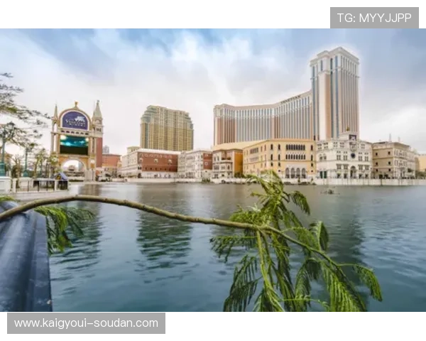 澳门威尼斯人娱乐场线上线下同步运营，享受多样化的娱乐选择与服务