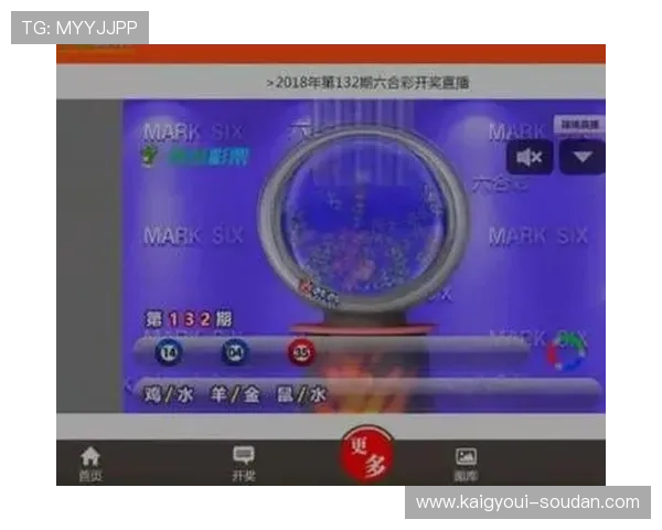 澳门金沙六合彩安全保障措施，保障玩家资金安全的澳门金沙六合彩安全体系